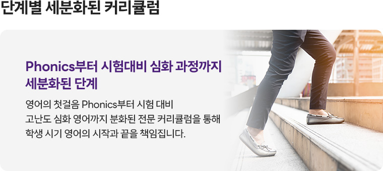 단계별 세분화된 커리큘럼